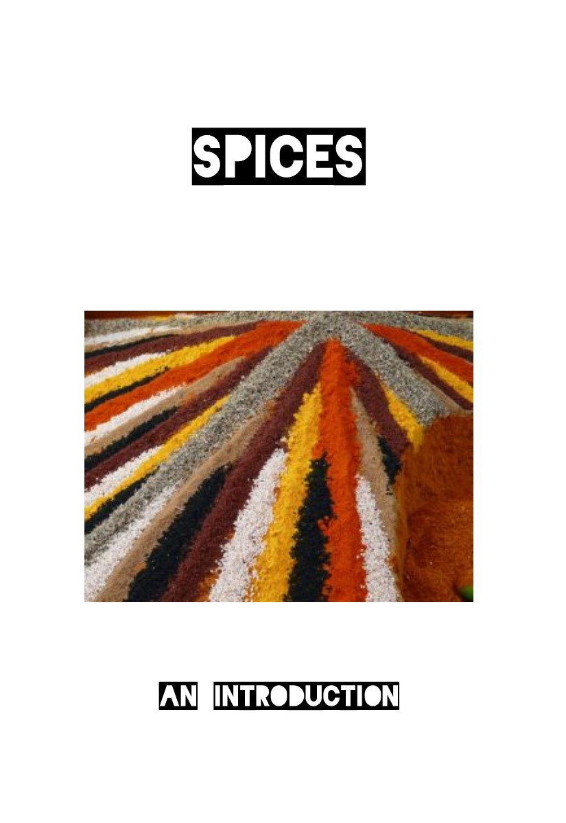 Spices Zine Cover