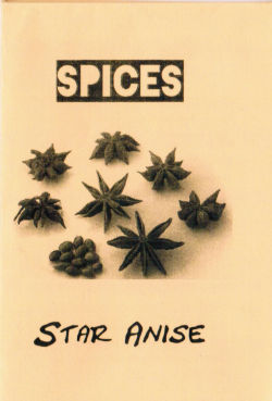 Star Anise the Micro Zine, A micro zine about the spice star anise, what it is, where it came from, and a recipe!